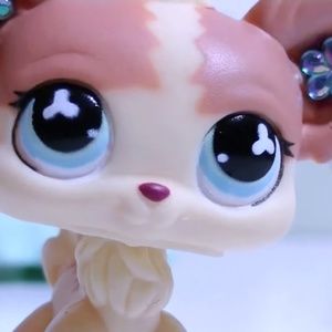 I’m interested in these guys 💕